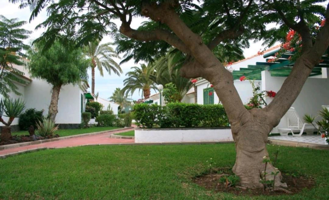 Maspalomas Dunas Golf Экстерьер фото